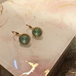 BOGO🛍🌞turquoise lever back earrings